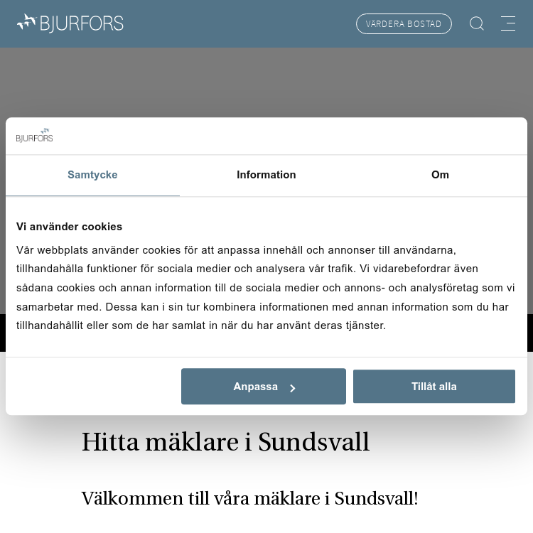 Screenshot of Bjurfors