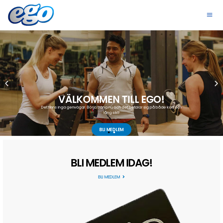 Screenshot of Ego Storgatan